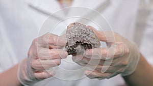 Bright grey ruby crystal ore in hands with gloves. Crystallization is the natural or artificial process by which a solid