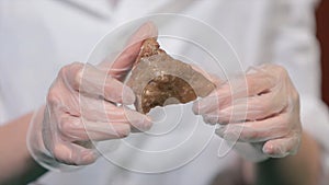 Bright grey ruby crystal ore in hands with gloves. Crystallization is the natural or artificial process by which a solid