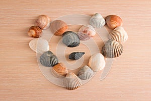 Bright heart from sea shells