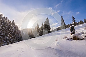 Bright high alpine winter scenery, with fresh snow and mist, in the Alps