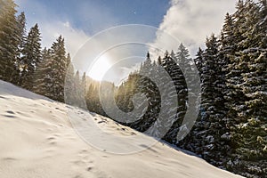 Bright high alpine winter scenery, with fresh snow and mist, in the Alps