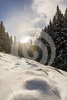 Bright high alpine winter scenery, with fresh snow and mist, in the Alps