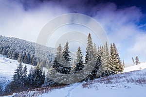 Bright high alpine winter scenery, with fresh snow and mist, in the Alps