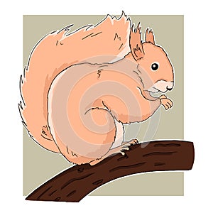 Bright illustration of cartoon sitting on branch squirrel on green background. Vector art of cute little animal good for different