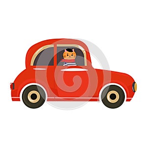 Bright illustration of a cat in the car