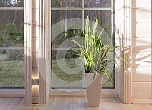 Bright interior of the room in wooden house with a large window overlooking the autumn courtyard. Home and garden, fall