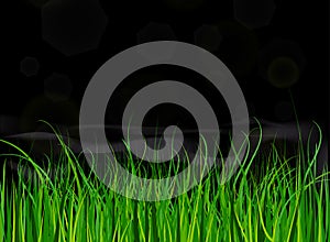 Bright and juicy green grass on a blue sky background.