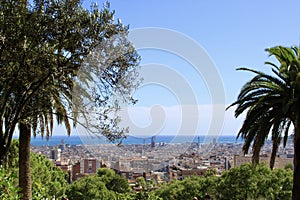 Bright juicy greenery against the background of the central part of Barcelona and the endless sea. photo