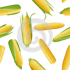 Bright juicy illustration of a cob of corn with green leaves and in cross section. Food and agriculture design element