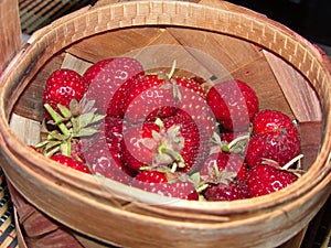 Bright juicy red berries strawberries in a birch bark basket. The first spring strawberries.