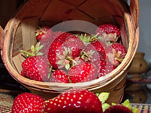 Bright juicy red berries strawberries in a birch bark basket. The first spring strawberries.