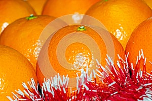 Bright juicy tangerines in Christmas shiny tinsel, the concept o