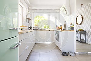 Bright kitchen interior with fresh fruits and two animal bowls p