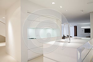 Bright kitchen interior