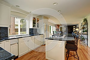 Bright kitchen room interior with white cabinets and kitchen island.