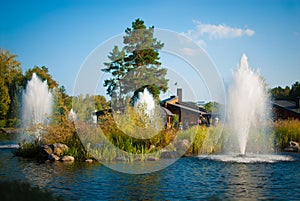 Bright landscape with a fountain