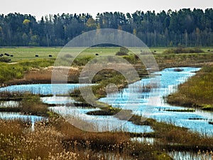 Bright landscape with lake shore, flooded lake meadows, first spring greenery, wallpaper
