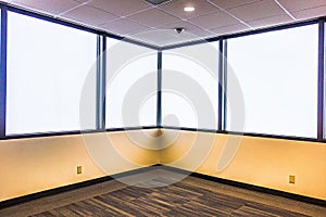 Bright large empty room with carpet, molding and windows