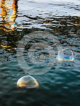 Soap bubbles on the water surface