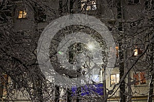 Bright lattern and branches of snowy trees in the city in dark evening