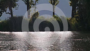 Bright light beaming on river with reeds and trees