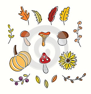 Bright line art set of autumn vegetables and leaves. Thanksgiving collection