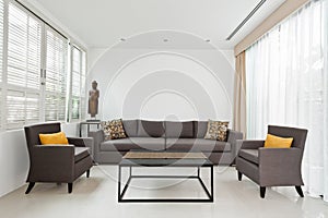 Bright Living room with grey sofa