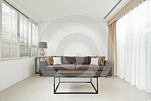Bright Living room with grey sofa
