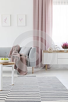 Bright living room interior with carpet, grey couch with coverlet, window with dirty pink drape and bike-shaped cloc