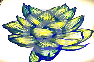 Bright Lotus Esoterica photo