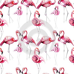 Bright lovely tender gentle sophisticated wonderful tropical hawaii animal wild summer beach pink flamingos pattern watercolor han