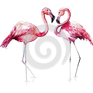 Bright lovely tender gentle sophisticated wonderful tropical hawaii animal wild summer beach pink flamingos pattern watercolor han