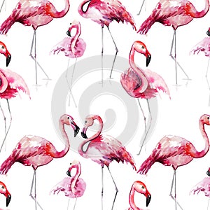 Bright lovely tender gentle sophisticated wonderful tropical hawaii animal wild summer beach pink flamingos pattern watercolor han