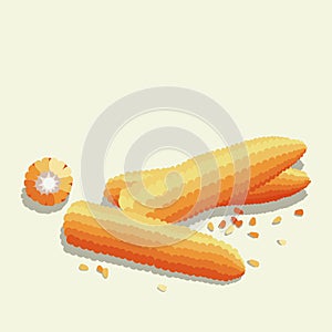 Bright minimalistic illustration, gradient corn cob and cross section and kernels. Food and agriculture design element..