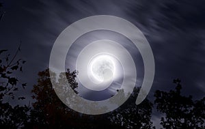 Bright moon on fall night with clouds and foliage