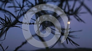 Bright moon shines on the dark evening sky