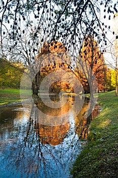 Bright morning over river in the forest. River and trees in fall. Autumnal morning with beautiful warm colors in park