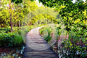 Bright morning view of Plitvice National Park. Colorful spring scene of green forest. Beautiful countryside landscape of Croatia,