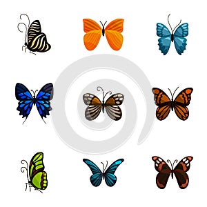 Bright motley butterflies icons set, cartoon style