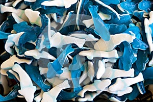 Bright multi-colored candy and jellies excellent background