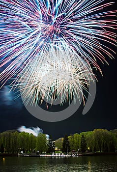 Bright multi-colored fireworks lights