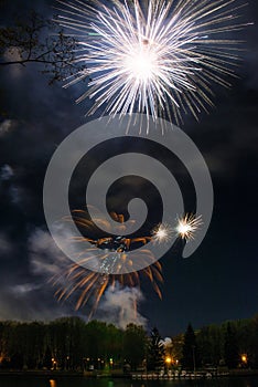 Bright multi-colored fireworks lights