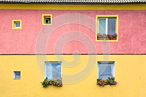 Bright multi-colored house wall, flowers are on the windows