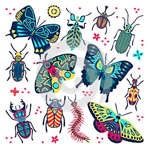 Bright multicolor butterfly, beetles and bugs set. Vector flat cartoon illustration. Decorative insects collection photo