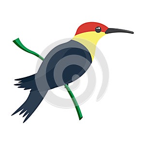 A bright multicolored hummingbird, a bird painted in several colors black yellow red . Vector illustration isolated on