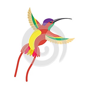 A bright multicolored hummingbird, a bird painted in several colors red green orange . Vector illustration isolated on