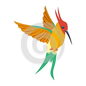 A bright multicolored hummingbird, a bird painted in several colors red green orange . Vector illustration isolated on