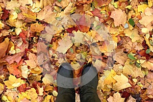 Bright natural autumn background. Green boots on carpet of maple leaves, top view. Concept of autumn mood and walks