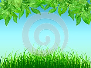 Bright natural background with grass and leaves. Spring. Summer.
