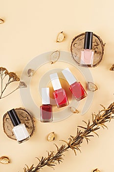 Bright and nude nail polishes on a neutral background among dry flowers.